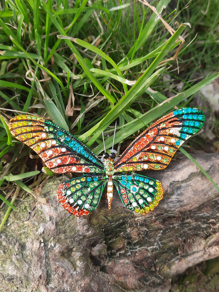kleurrijke broche vlinder 