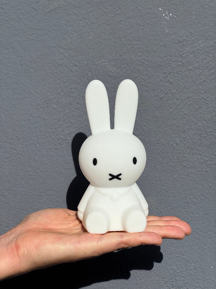 Een_bundeltje_van_licht_Nijntje_mini_light_lampje._Gaat_uit_na_15_min_en_werkt_op_batterij_inclusief