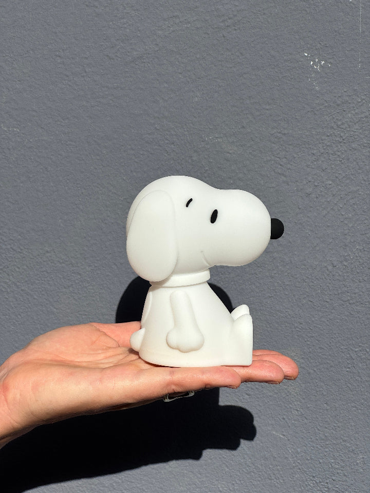Een bundeltje van licht; Snoopy mini light lampje. Gaat uit na 15 min en werkt op batterij (inclusief)